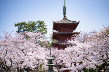 東京都台東区　寛永寺